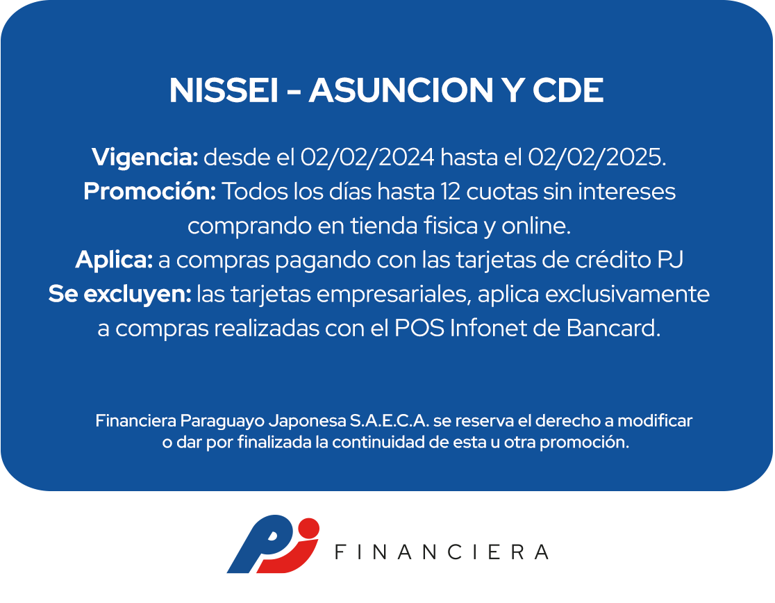 Nissei 12 Cuotas Tecnología Todos Los Días Asuncion Ciudad del Este